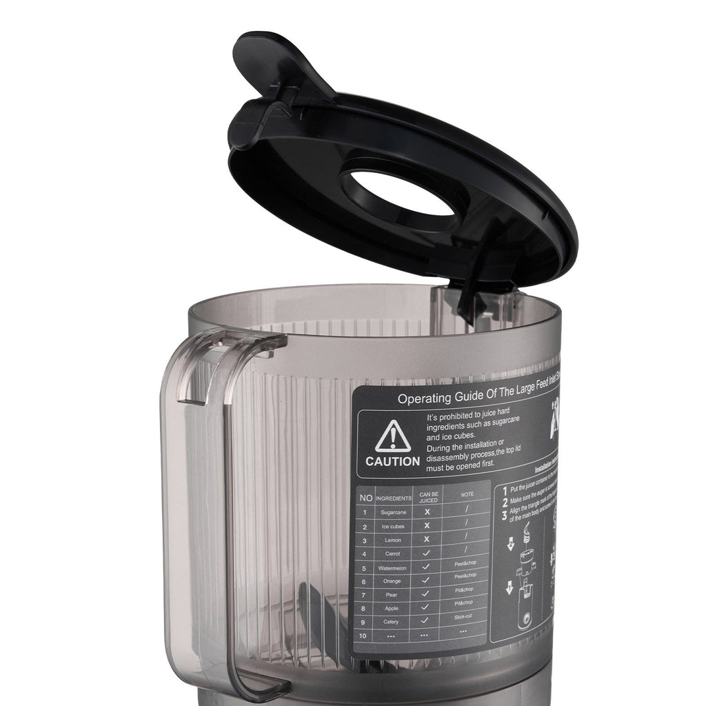 300W Cold Press Juicer Slow Masticating Machine
