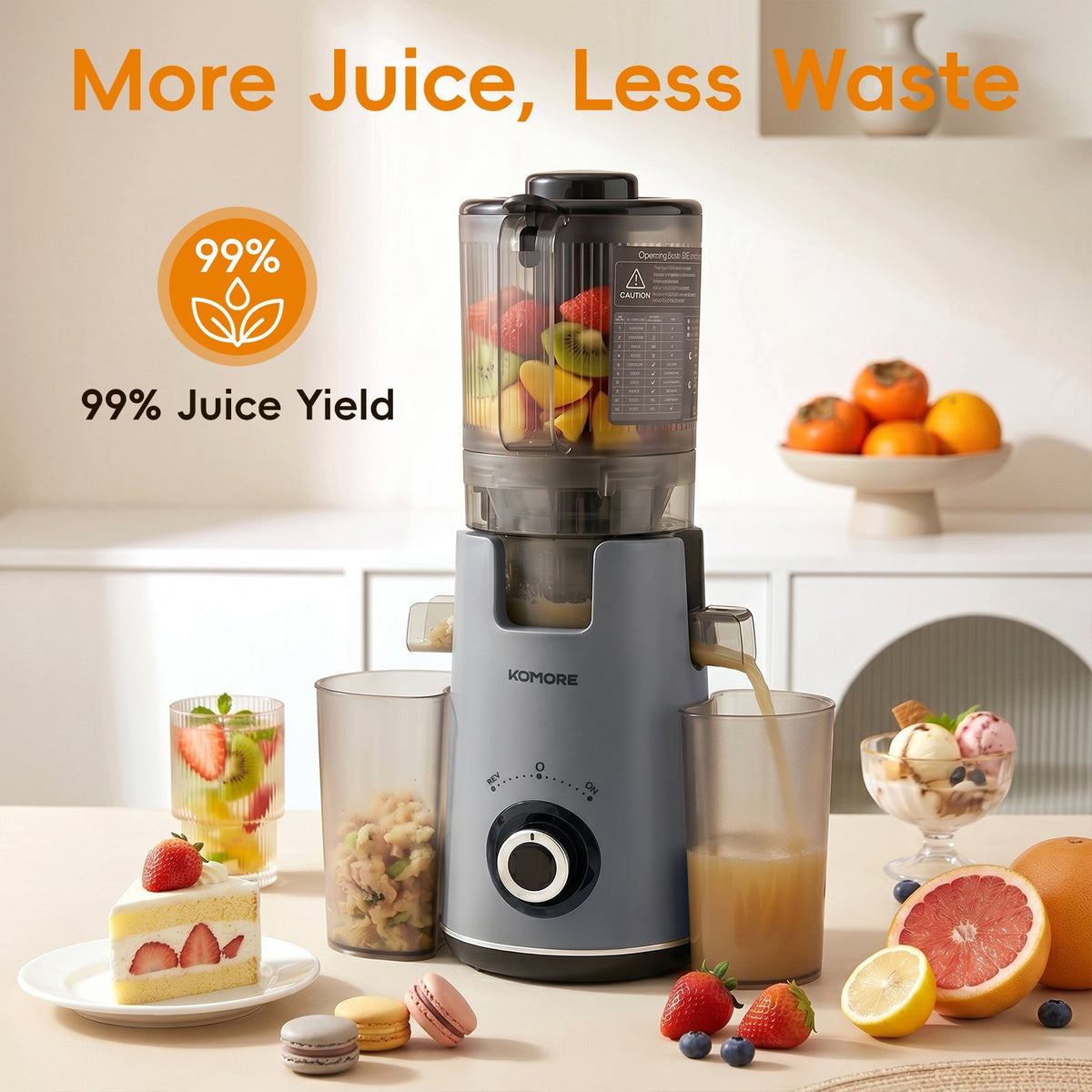 300W Cold Press Juicer Slow Masticating Machine