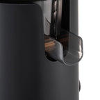 300W Cold Press Juicer Slow Masticating Machine