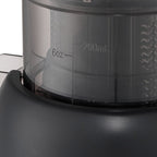 200W Cold Press Juicer Slow Masticating Machine