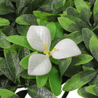 100x100cm Artificial Greenery Panel Foliage Hedge