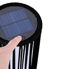 2-Pack Solar Outdoor Floor Lamp